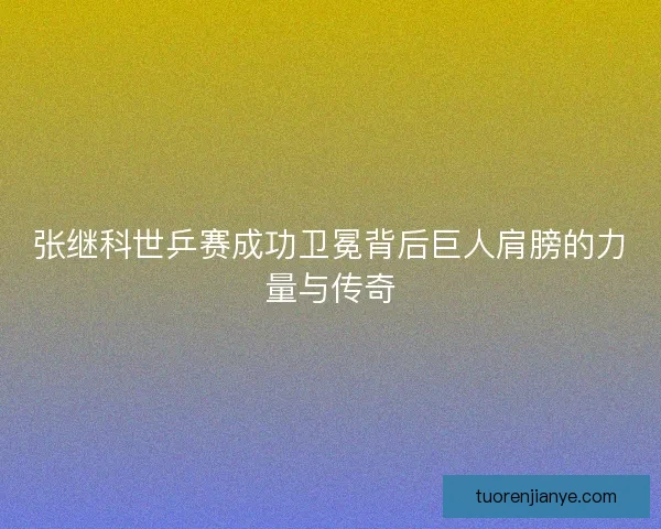 张继科世乒赛成功卫冕背后巨人肩膀的力量与传奇