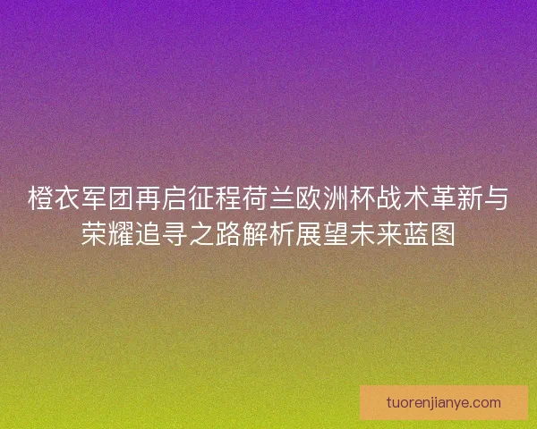 橙衣军团再启征程荷兰欧洲杯战术革新与荣耀追寻之路解析展望未来蓝图